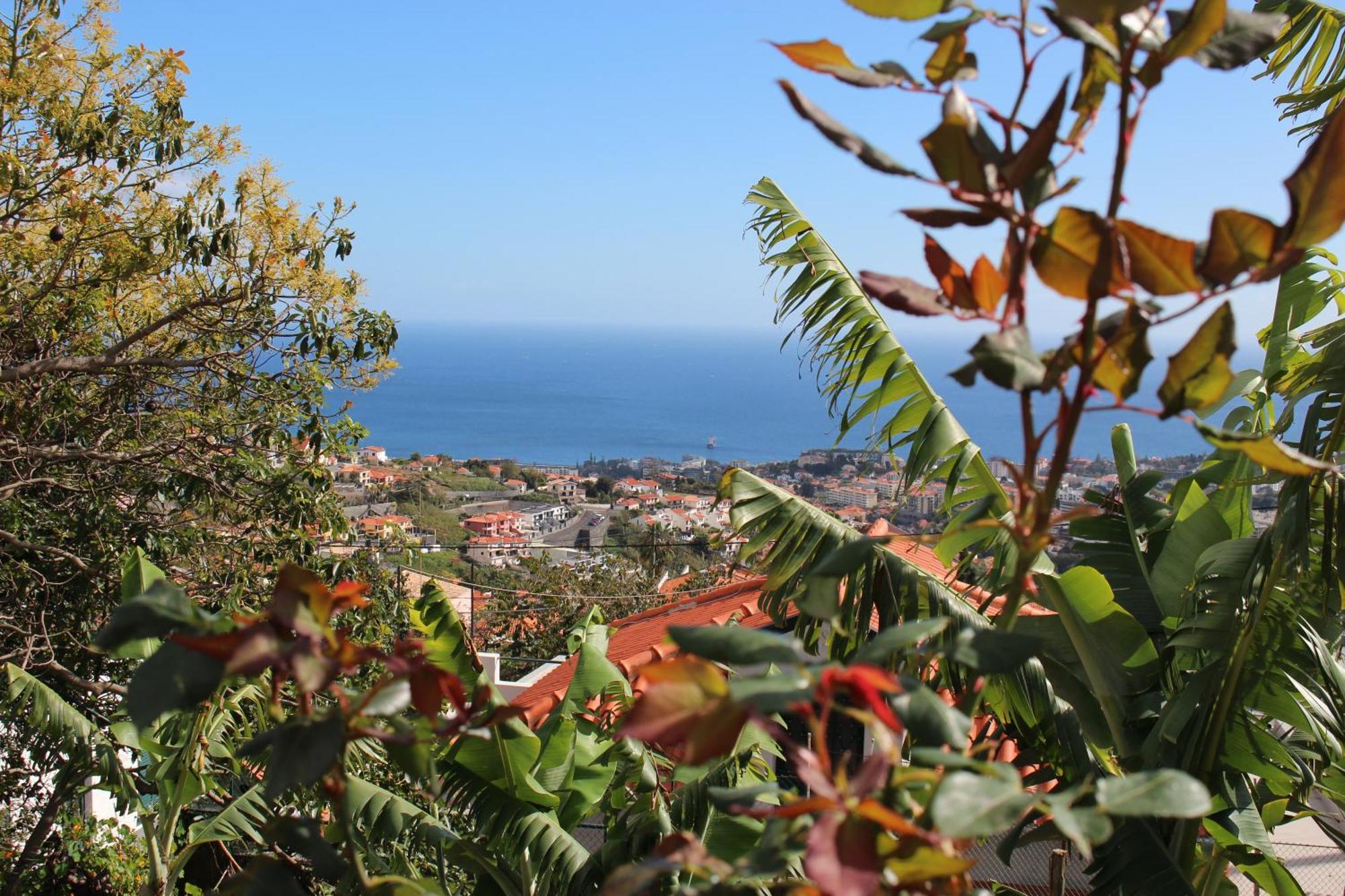 Alojamento Funchal - Silvestre House Funchal (Madeira) Exterior foto